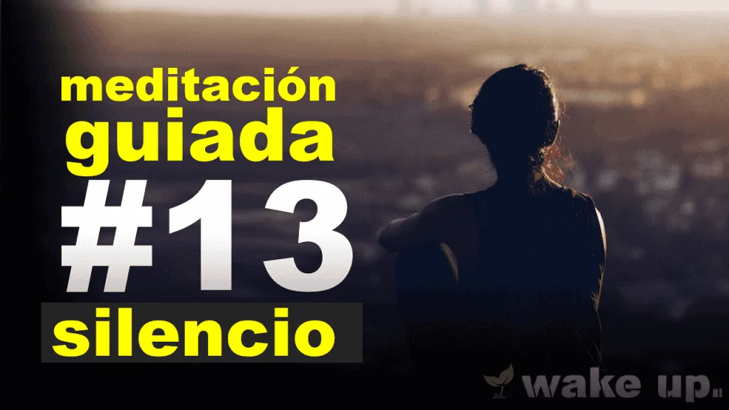 Meditación 13: Observar el silencio