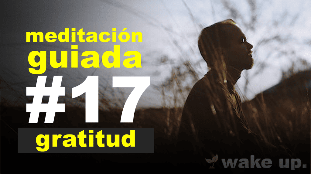 Meditación 17: Gratitud