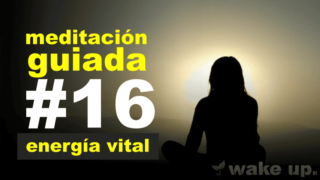 Meditación 16: Energía vital