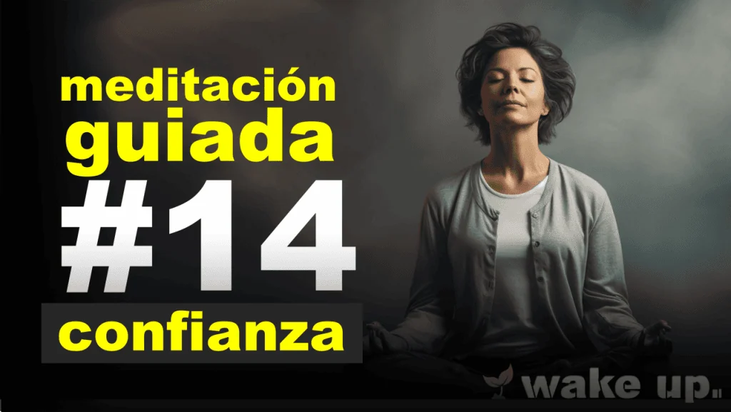 Meditación 14: Seguridad y confianza