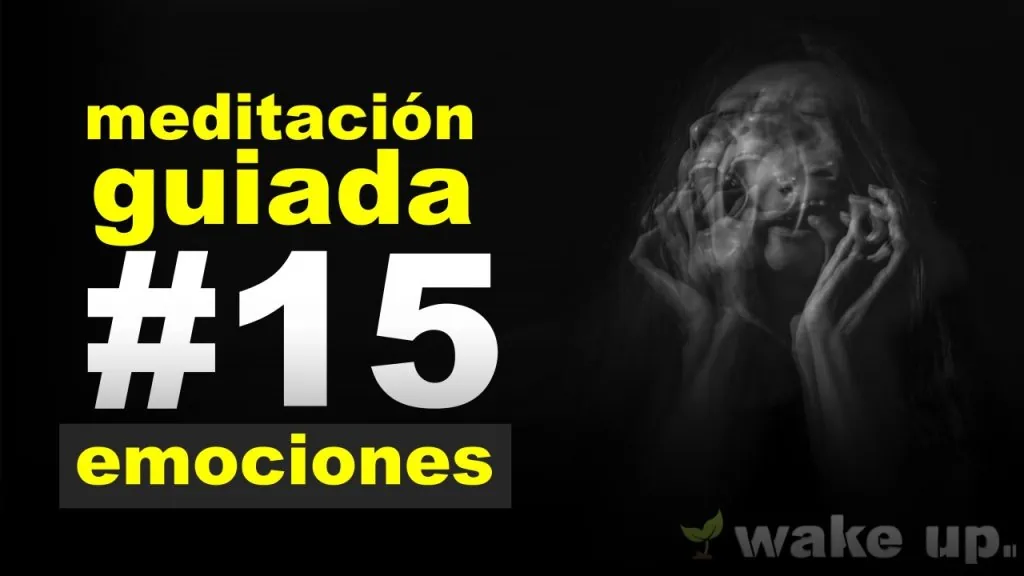 Meditación 15: Identificar emociones