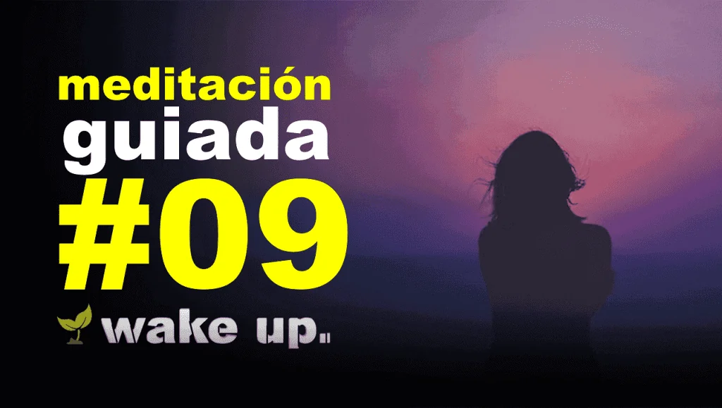 Meditación 9: Obsérvate a ti mismo