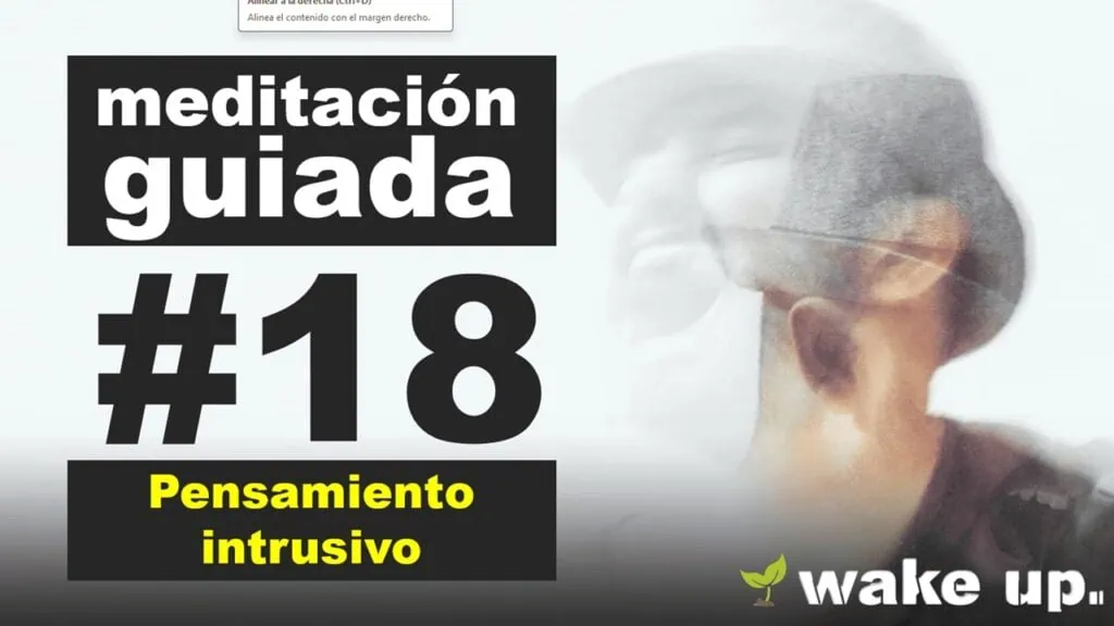 Meditación 18: Pensamiento intrusivo