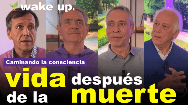 Vida después de la muerte