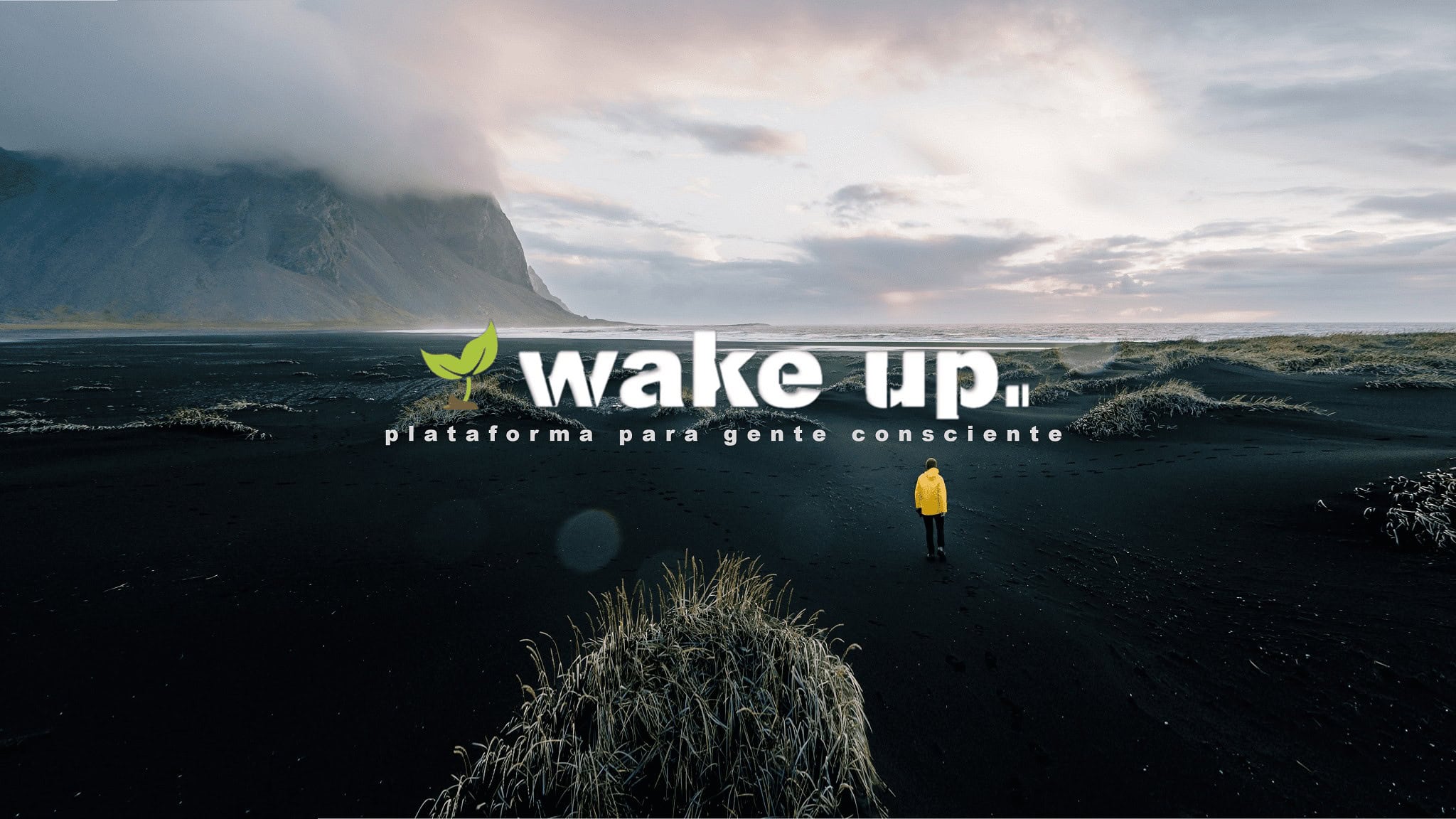 Nace Wake Up