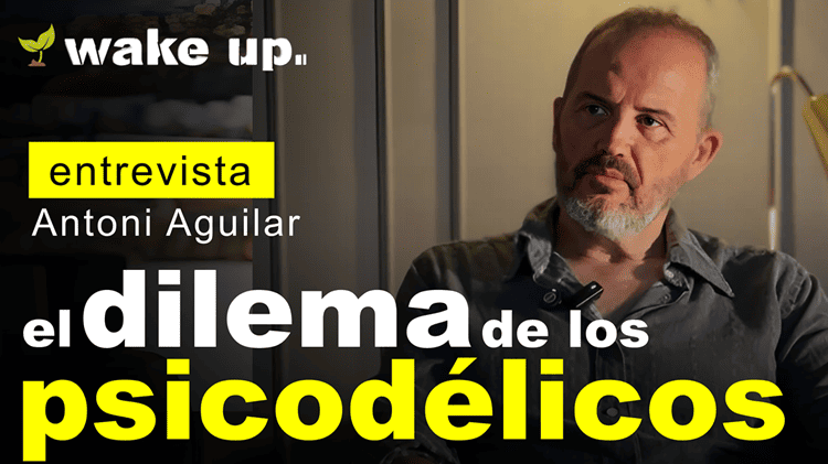 El dilema de los Psicodelicos - copia