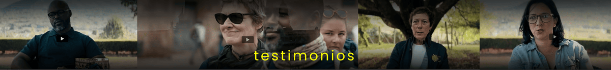 testimonios camino de santiago wake up