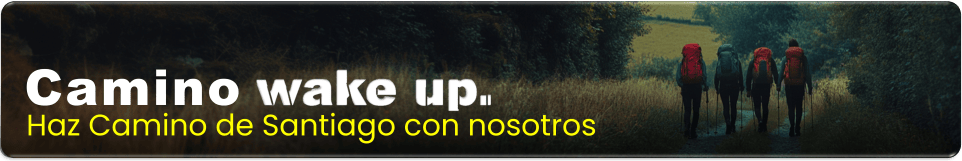 camino de santiago wake up banner
