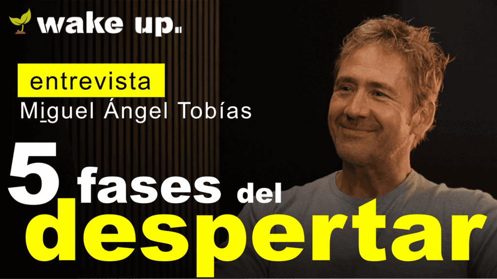 las 5 fases del despertar de la consciencia