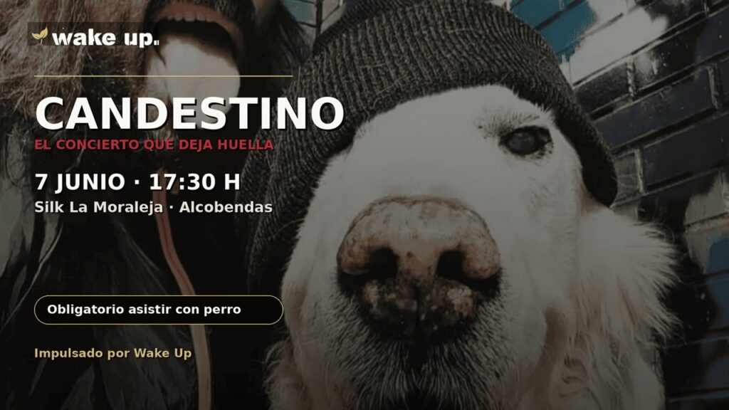 Candestino: el concierto que deja huella